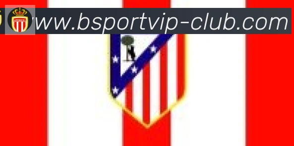 Bsports官网合作伙伴