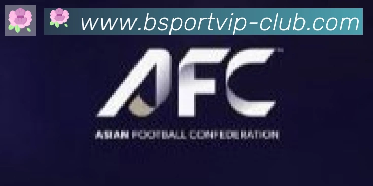 Bsports官网合作伙伴